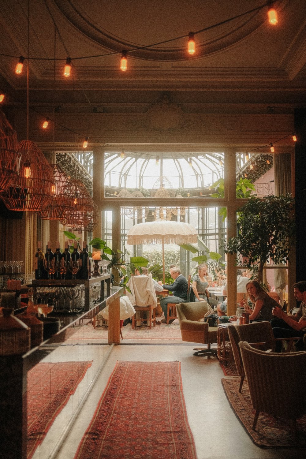 Guests seated for dinner in a sunlit dining room full of plants